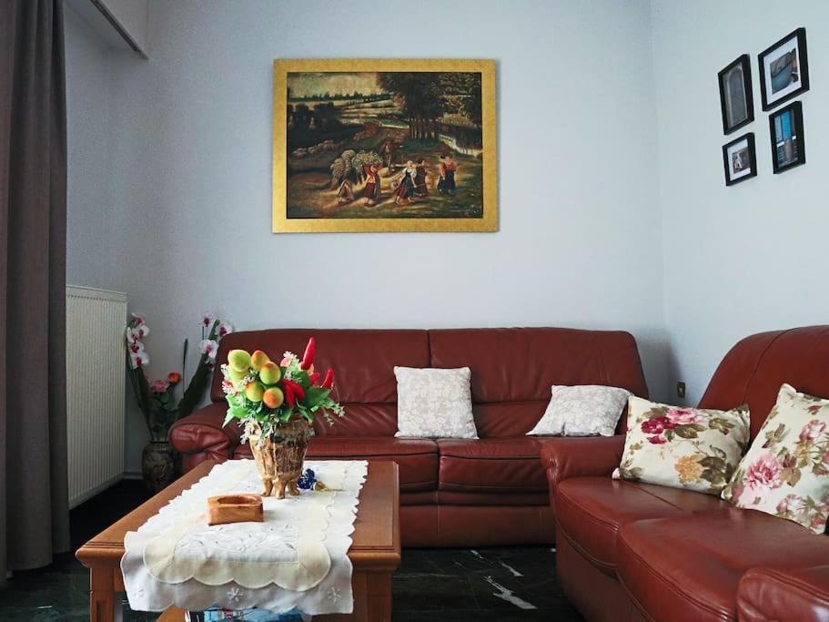 Νatasas Place In Evia Amarynthos Bagian luar foto